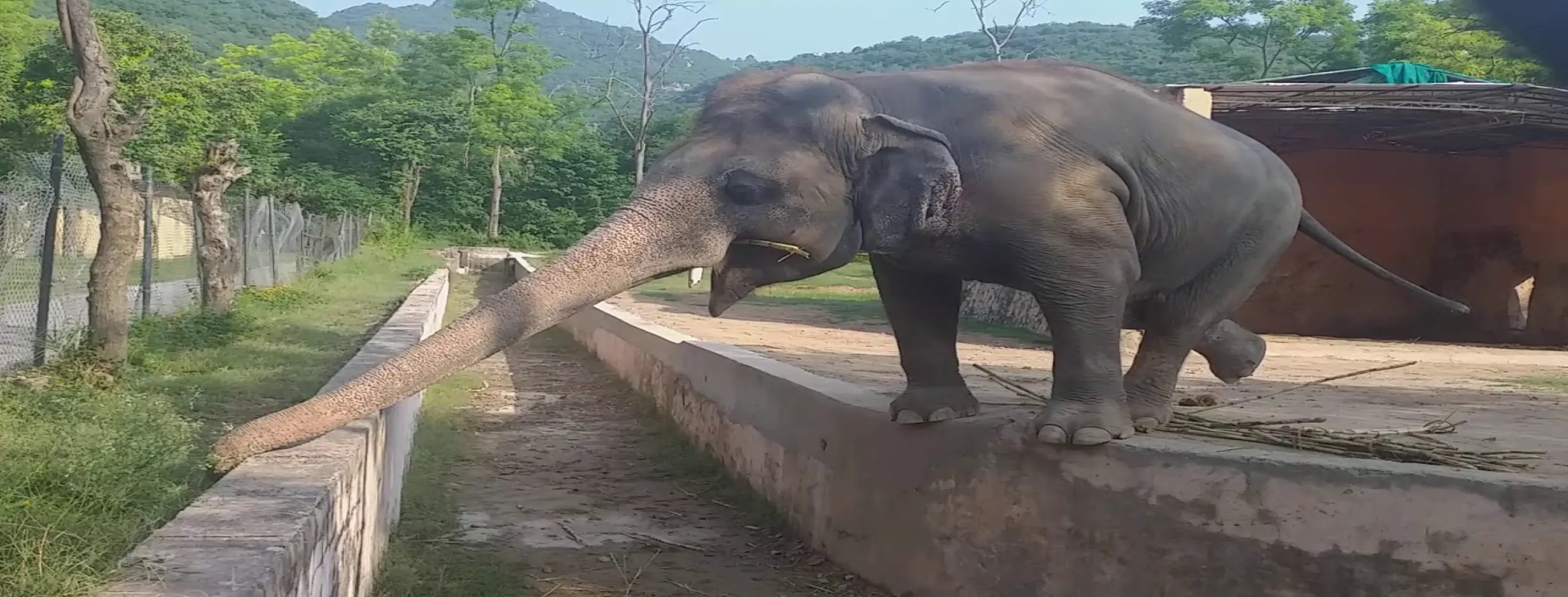 Image for Islamabad Zoo